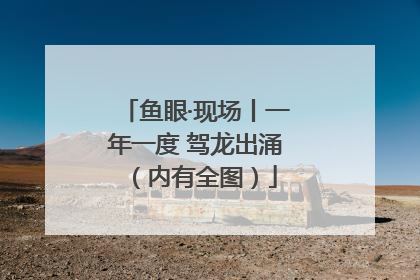 鱼眼·现场丨一年一度 驾龙出涌（内有全图）