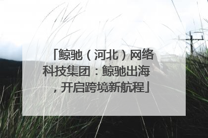 鲸驰（河北）网络科技集团：鲸驰出海，开启跨境新航程