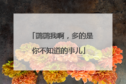 鹮鹮我啊，多的是你不知道的事儿