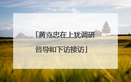 黄喜忠在上犹调研督导和下访接访