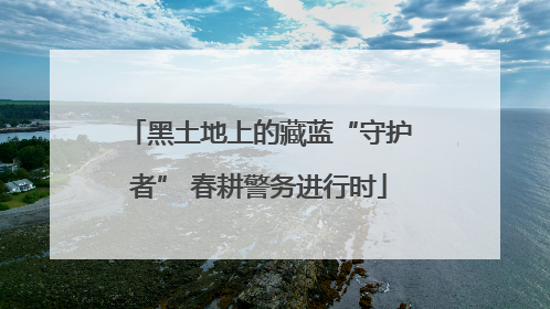 黑土地上的藏蓝“守护者” 春耕警务进行时