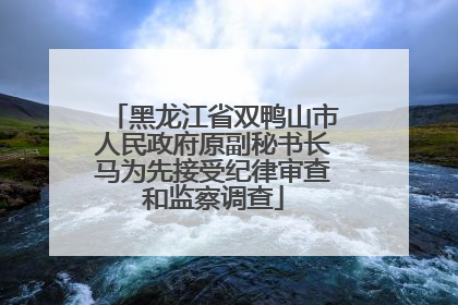 黑龙江省双鸭山市人民政府原副秘书长马为先接受纪律审查和监察调查