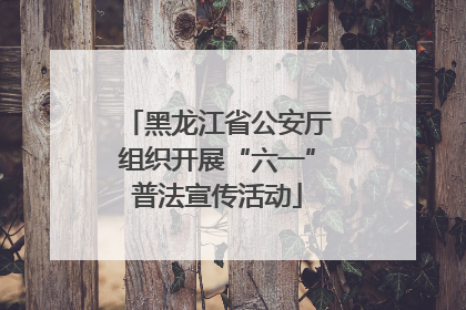 黑龙江省公安厅组织开展“六一”普法宣传活动