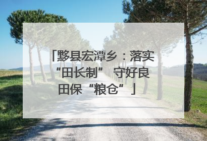 黟县宏潭乡：落实“田长制” 守好良田保“粮仓”