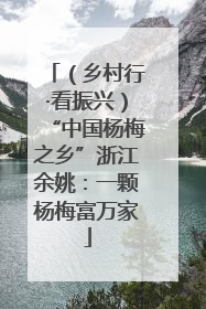 （乡村行·看振兴）“中国杨梅之乡”浙江余姚：一颗杨梅富万家