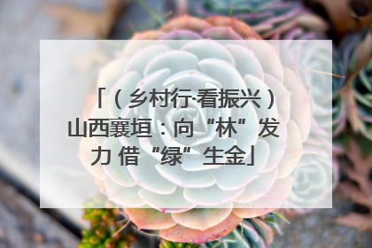 （乡村行·看振兴）山西襄垣：向“林”发力 借“绿”生金