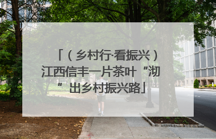 （乡村行·看振兴）江西信丰一片茶叶“沏”出乡村振兴路