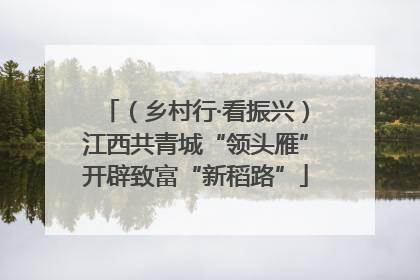 （乡村行·看振兴）江西共青城“领头雁”开辟致富“新稻路”