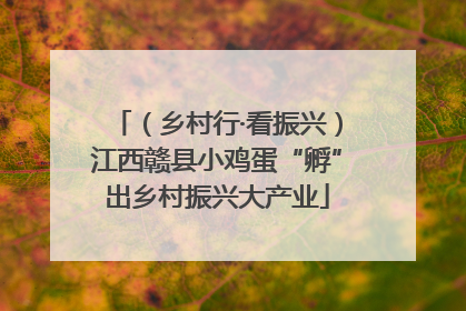 （乡村行·看振兴）江西赣县小鸡蛋“孵”出乡村振兴大产业