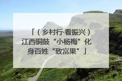 （乡村行·看振兴）江西铜鼓“小杨梅”化身百姓“致富果”