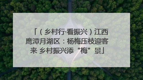 （乡村行·看振兴）江西鹰潭月湖区：杨梅压枝迎客来 乡村振兴添“梅”景