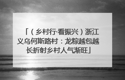 （乡村行·看振兴）浙江义乌何斯路村：龙粽越包越长折射乡村人气渐旺