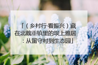 （乡村行·看振兴）藏在北魏重镇里的坝上雅居：从留守村到生态园