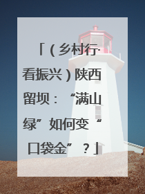 （乡村行·看振兴）陕西留坝：“满山绿”如何变“口袋金”？