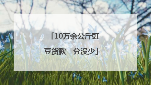10万余公斤豇豆货款一分没少