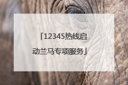12345热线启动兰马专项服务