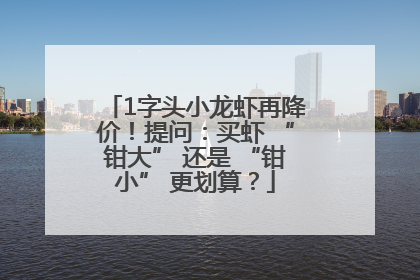1字头小龙虾再降价！提问：买虾 “钳大” 还是 “钳小” 更划算？
