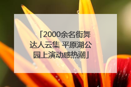 2000余名街舞达人云集 平原湖公园上演动感热潮