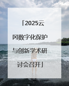 2025云冈数字化保护与创新学术研讨会召开