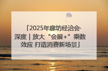 2025年廊坊经洽会·深度｜放大“会展+”乘数效应 打造消费新场景