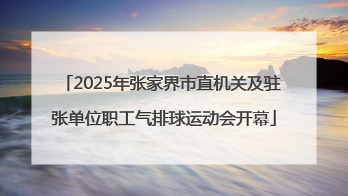 2025年张家界市直机关及驻张单位职工气排球运动会开幕