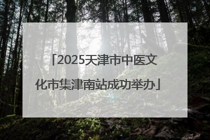 2025天津市中医文化市集津南站成功举办