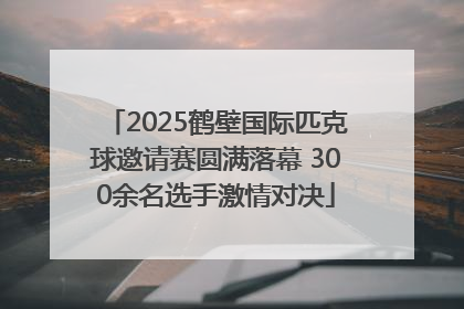 2025鹤壁国际匹克球邀请赛圆满落幕 300余名选手激情对决