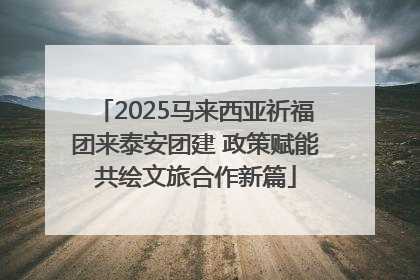 2025马来西亚祈福团来泰安团建 政策赋能共绘文旅合作新篇