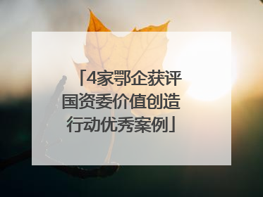 4家鄂企获评国资委价值创造行动优秀案例