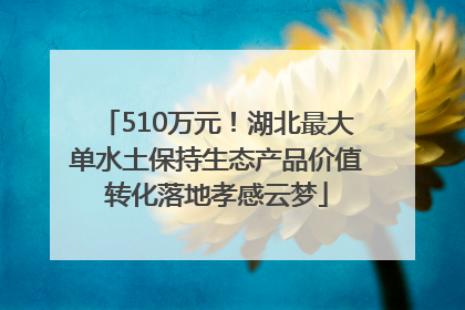 510万元！湖北最大单水土保持生态产品价值转化落地孝感云梦