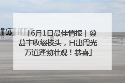 6月1日最佳情报｜桑葚丰收缀枝头，日出霞光万道蓬勃壮观！恭喜