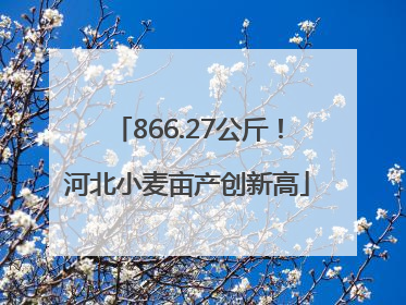 866.27公斤！河北小麦亩产创新高