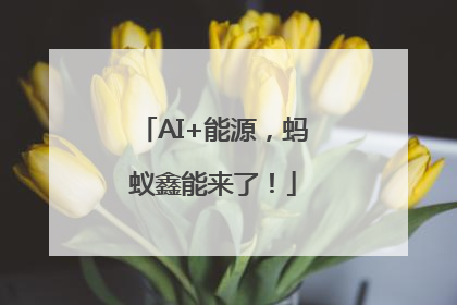 AI+能源，蚂蚁鑫能来了！