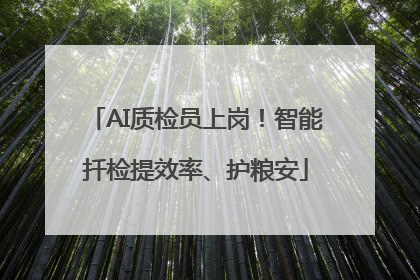 AI质检员上岗！智能扦检提效率、护粮安