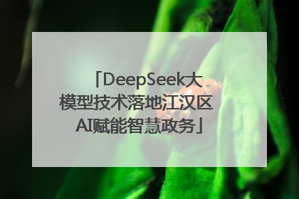 DeepSeek大模型技术落地江汉区 AI赋能智慧政务
