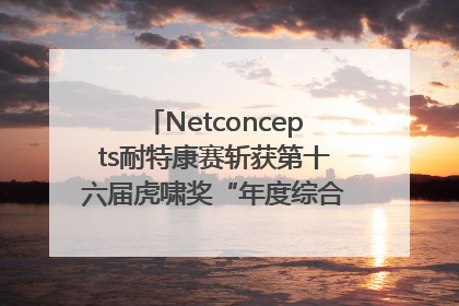 Netconcepts耐特康赛斩获第十六届虎啸奖“年度综合服务商”大奖